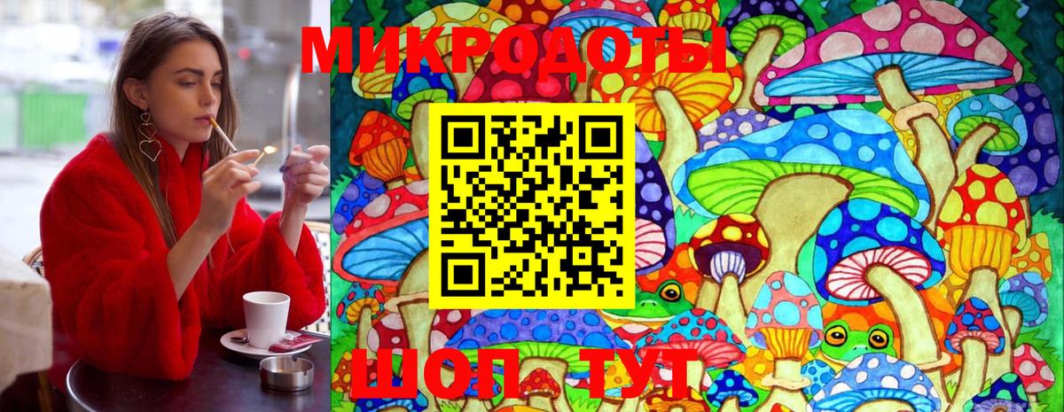 закладка  Галлюциногенные грибы Psilocybe  Вход с VPN  Ульяновск 